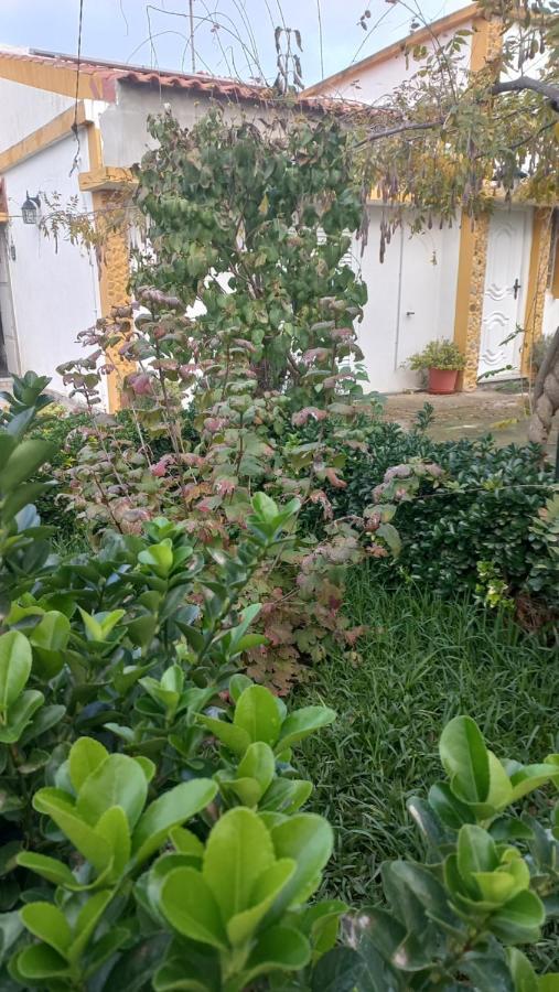 Villa Casa Dos Gansos Perais Exterior foto